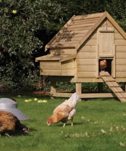 Chicken Coops