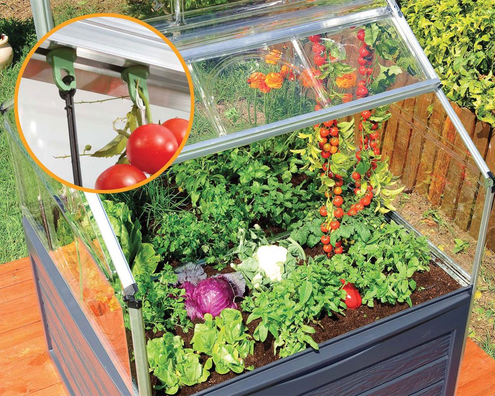 Palram Canopia Plant Inn Clear Mini Greenhouse - Image 10