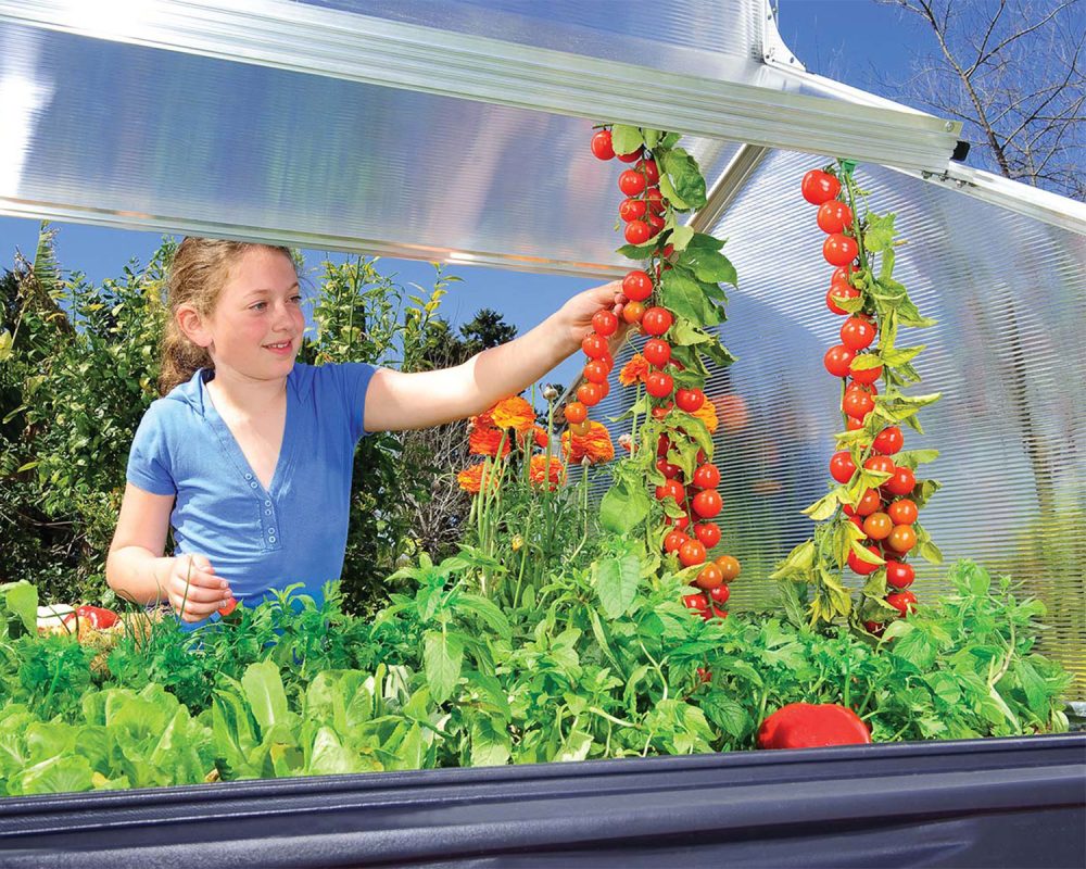 Palram Canopia Plant Inn Clear Mini Greenhouse - Image 12