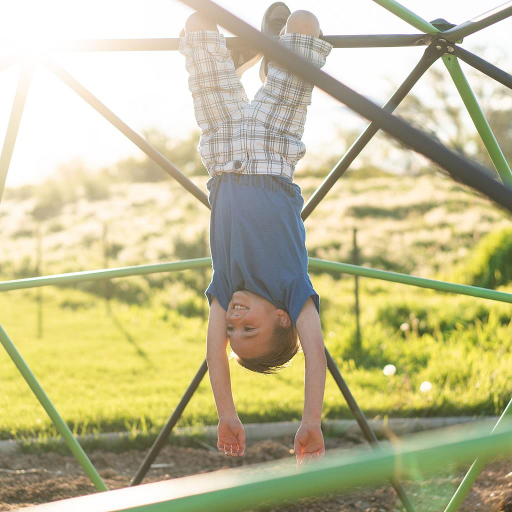 Lifetime 66-Inch (167cm) Climbing Dome - Outdoor Jungle Gym Climbing Frame - Image 3