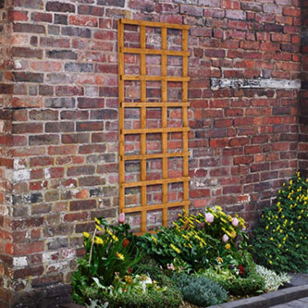 Forest Garden Heavy Duty Trellis Traditional Square Section Screen Growing Panel