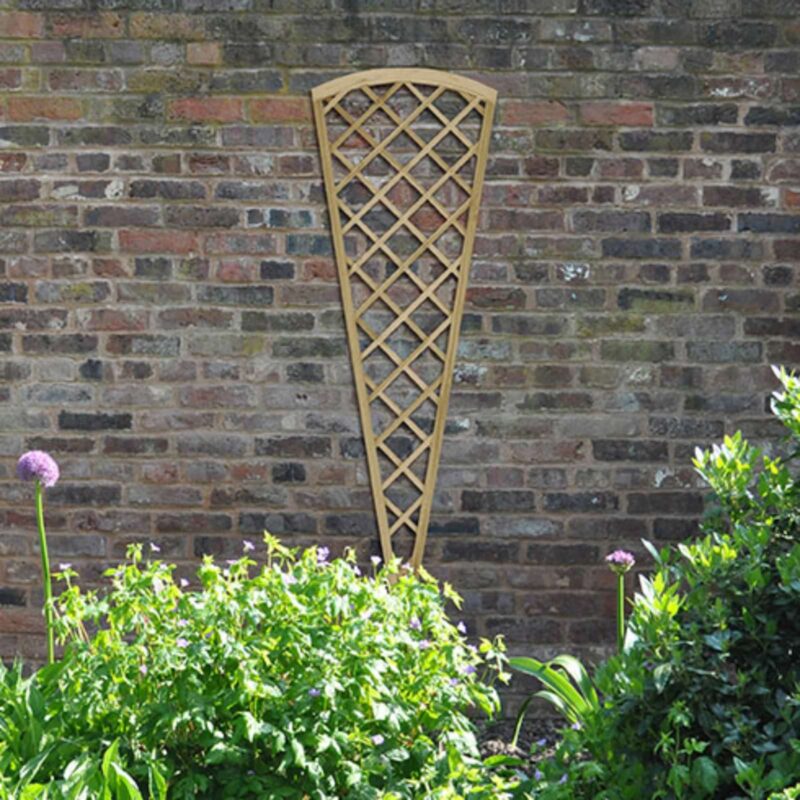Forest Garden Hidcote Fan Lattice High Quality Garden Trellis, Panel 6 x 2ft