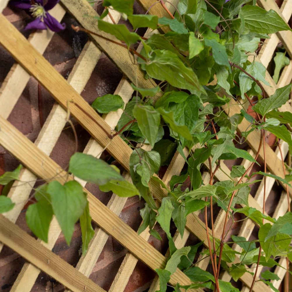 Trellis Garden Planter Lattice Flower Pot - Image 3