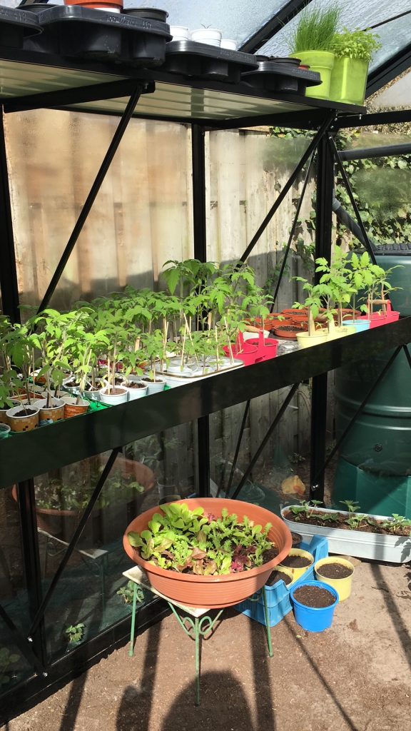 Pure Garden Buildings
