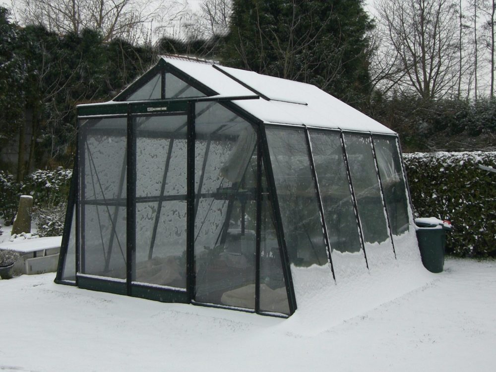 ACD Premium Greenhouse With Sloped Walls - 10 x 10 - 3.06m x 3.06m - Choices Available - Image 14