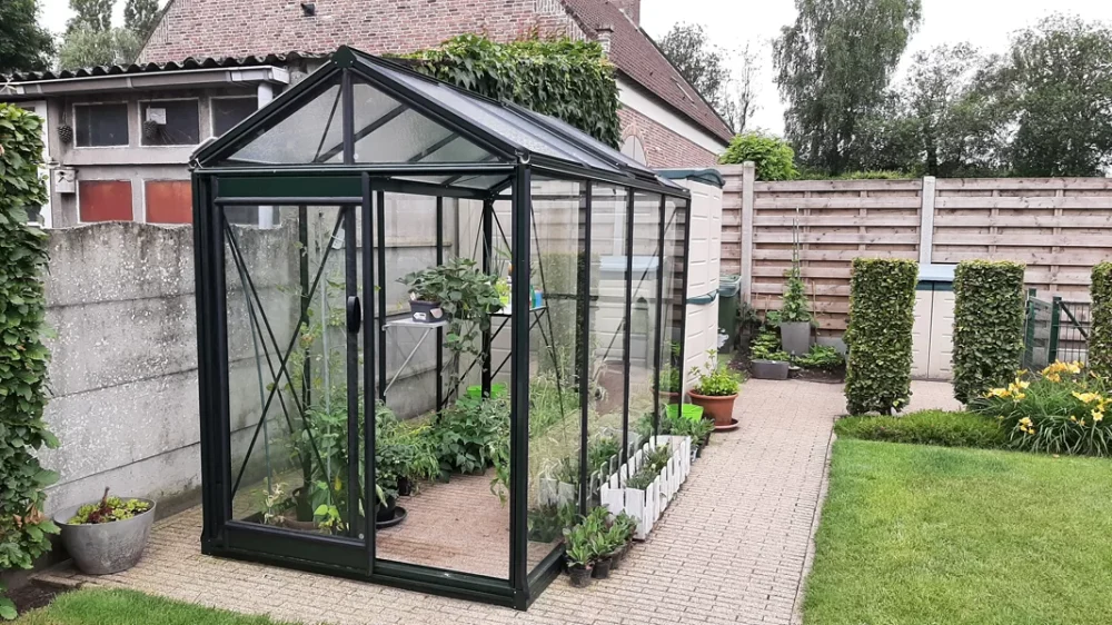 ACD Premium Greenhouse - 5 x 8 - 1.59m x 2.24m (3.56m?) - Choices Available - Image 3