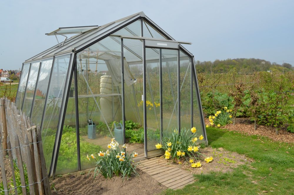 ACD Premium Greenhouse With Sloped Walls - 10 x 10 - 3.06m x 3.06m - Choices Available - Image 7