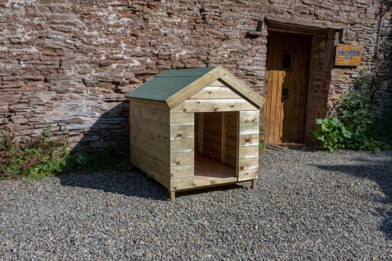 Forest Dog Kennel