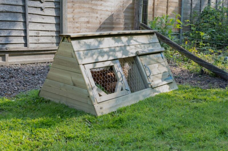 Forest Small Starter Chicken Coop