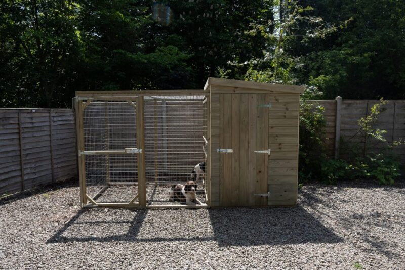 Forest Large Dog Kennel & Run
