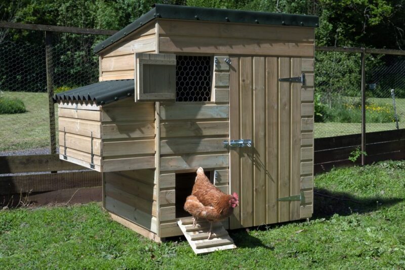 Forest Large Hen House