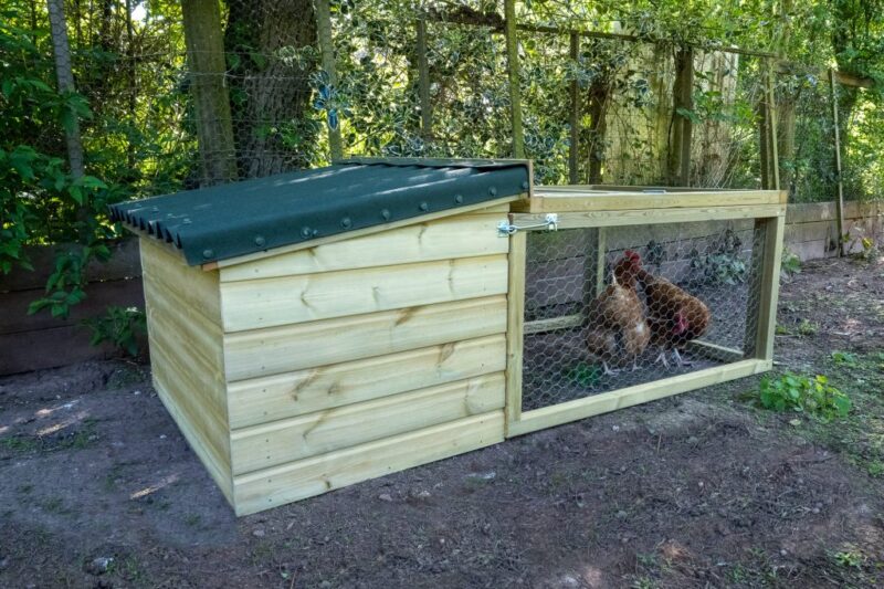 Forest Chicken Coop and Run