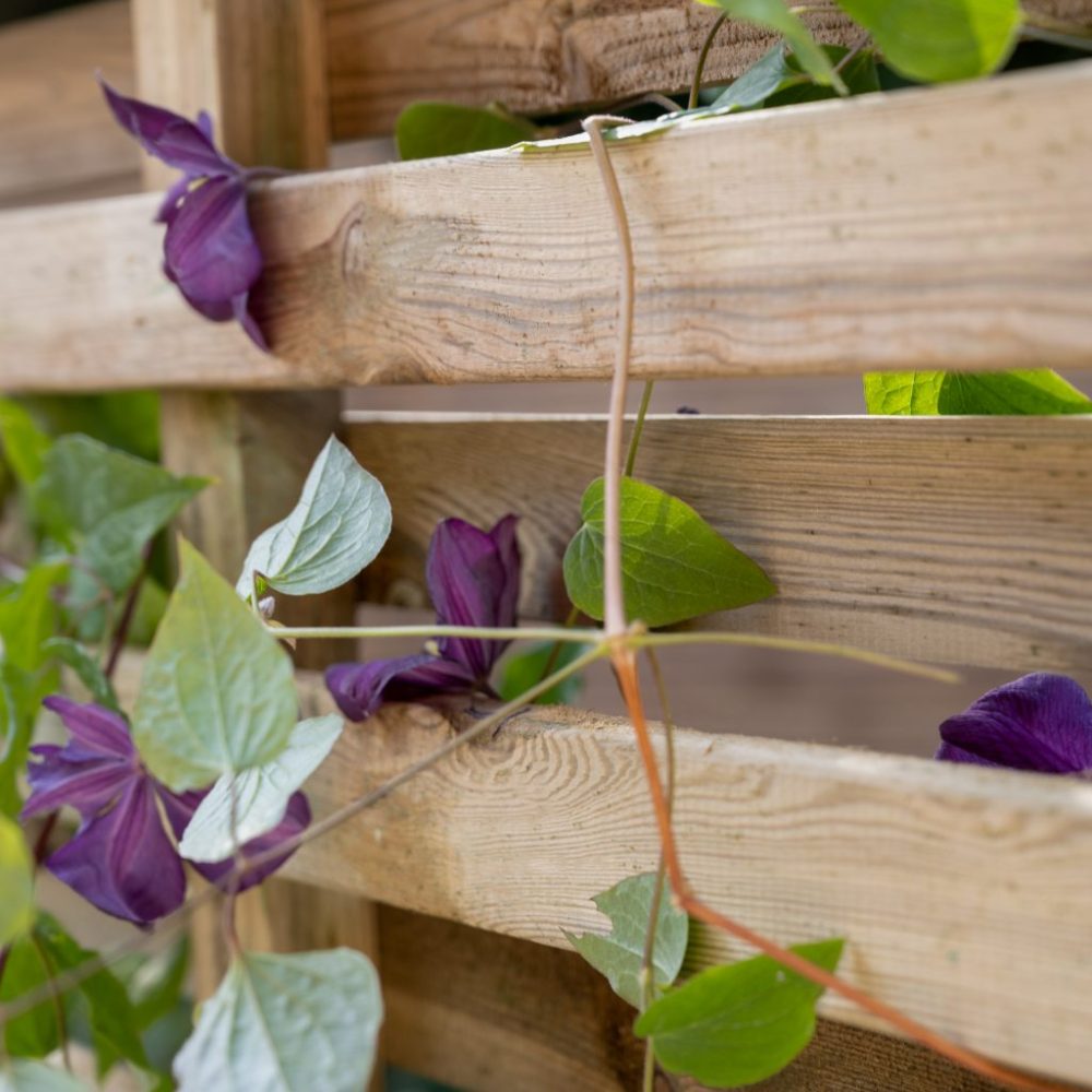 Forest Living Screen Planter - Image 5
