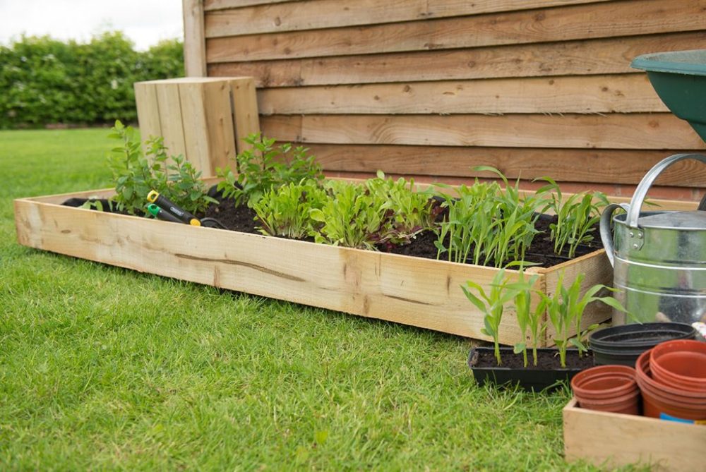 Forest Standard Raised Bed