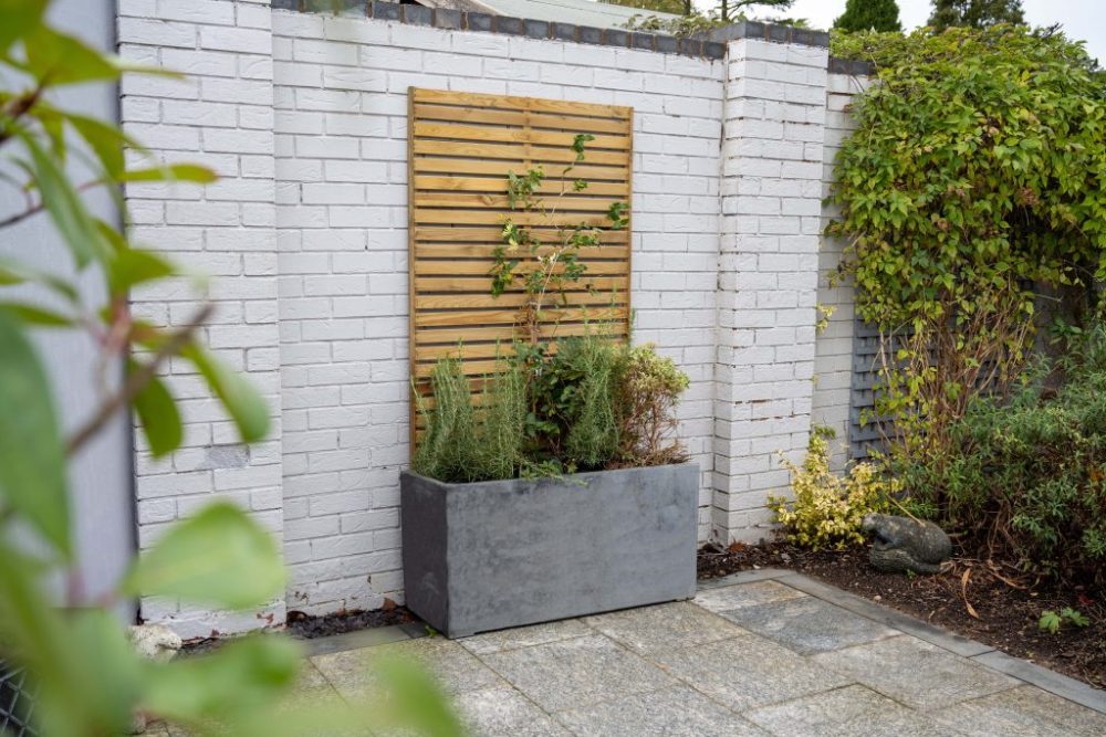Forest Garden Slatted Trellis 180x90cm - Image 11