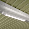 Berry LED Light