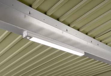 Berry LED Light