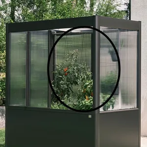 trellis Trellis for greenhouse Florentina